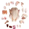 /product-detail/frozen-chicken-feet-paws-wings-legs-for-sale-cheap-price-62007173954.html