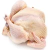halal quality chicken the whole chicken