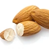 Roasted Almond nuts/Almond with shell/Best quality sales