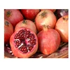 Pomegranate For Iran