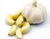 /product-detail/fresh-garlic-export-standard-price-for-sale-high-quality-with-best-price-for-you-50034401443.html