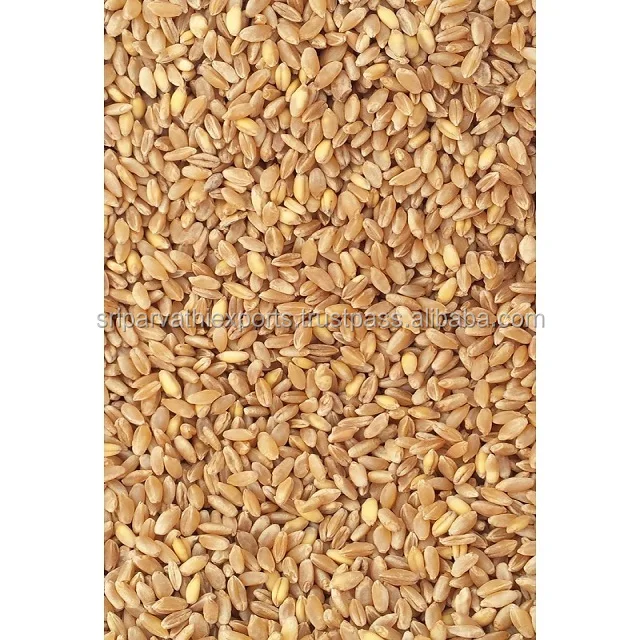 milling wheat.jpg