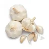/product-detail/natural-fresh-garlic-supplier-62000094328.html