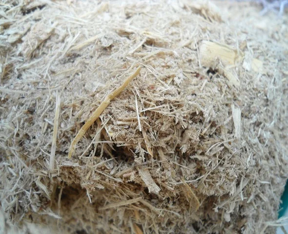 SUGARCANE BAGASSE BEST QUALITY -ANIMAL FEED