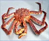 Seafood Fresh Live Red King Crab