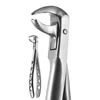 /product-detail/dental-extraction-forceps-tooth-instruments-extracting-forceps-50042792170.html