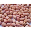 Raw shelled Peanut kernels/ BLANCHED PEANUT 40/50/ Ground Nut Red Skin Peanut