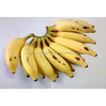 South Indian Fresh Yellow Yelakki Banana Exporters In India Buy Fresh