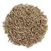 Single Herbs / Spices Products Types / Dried Style Cumin Seeds Exports