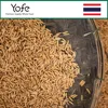 Current Thai Organic Brown Jasmine Rice with 5% Broken more than 90% Purity from rice suppliers in thialand