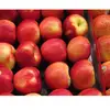 Competitive Price Fresh Red Fuji Apple