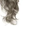 silver grey hair dye Organic based 7 Time Filter rajasthani Henna and Red Kamala