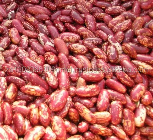 Red Kidney Beans ( Red Beans ) and Dark Red Kidney Beans for sale