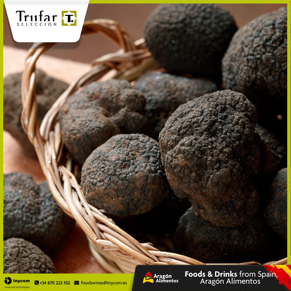 Tuber Melanosporum Fresh Truffles from Spain (With FDA) Wholesale | TRUFAR Seleccion