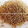 /product-detail/alfalfa-seed-for-medicinal-use-50037893312.html