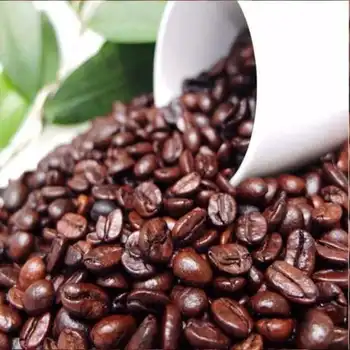 bulk organic coffee