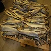 Dry Stock Fish Cod , Ready stock Frozen sail fishHigh Quality Grade A
