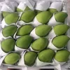 /product-detail/fresh-mango-nam-dok-mai-variety-golden-honey-eastern-mangoes-62008179229.html