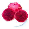 RED DRAGON FRUIT/PITAYA from Vietnam with GOOD PRICE and EXPORT QUALITY (Crop 2019)