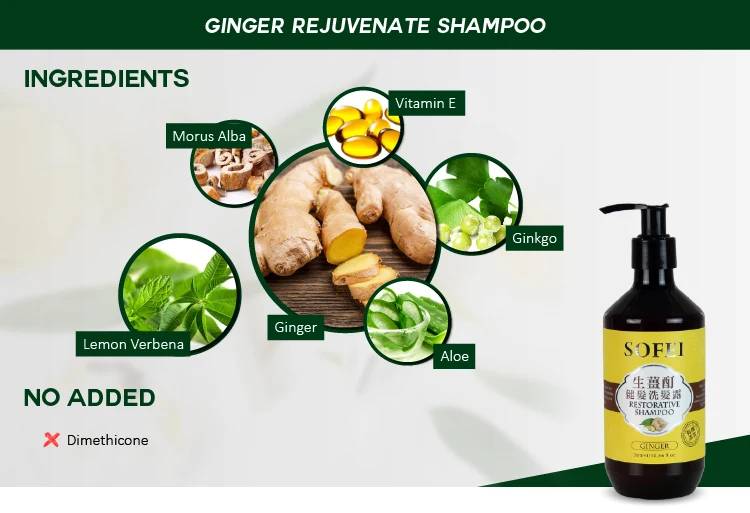 oem unique pure natura ginger dandruff shampoo hair grow shampoo