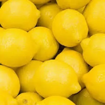 الليمون الأخضر/الطازجة الجير/الفاكهة الطازجة من Hoang كيم نام نام للبيع