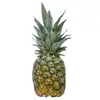 /product-detail/canned-pineapple-with-affordable-price-2019-50021486738.html