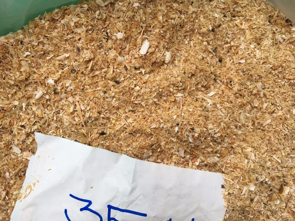 Export Shrimp Shell with head/Animal Feed/shrimp shell powder