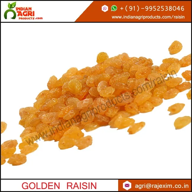 golden raisin exporters