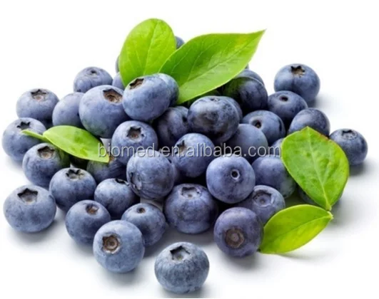 Blueberry.jpg