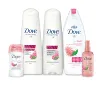 /product-detail/hot-sale-dove-go-fresh-body-wash-pomegranate-and-lemon-verbena-62003710436.html