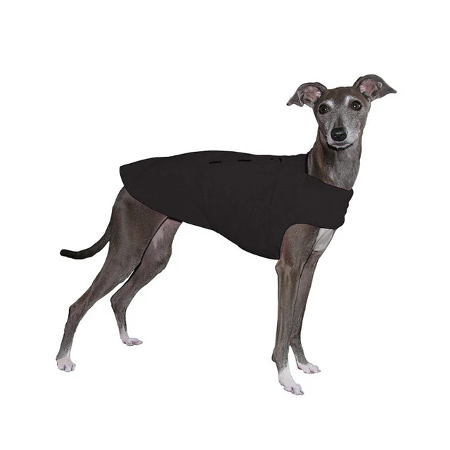 italian greyhound black winter dog coat