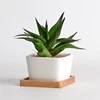 /product-detail/custom-white-mini-ceramic-square-succulent-planter-flower-pot-62007277067.html