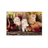Wholesale PET 3d lenticular flipping dog and cat picture with best price