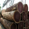 /product-detail/high-grade-azobe-ekki-wood-logs-and-lumber-sawn-62007918145.html