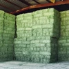 /product-detail/order-large-alfalfa-hay-alfalfa-pellets-alfalfa-cubes-50038433913.html