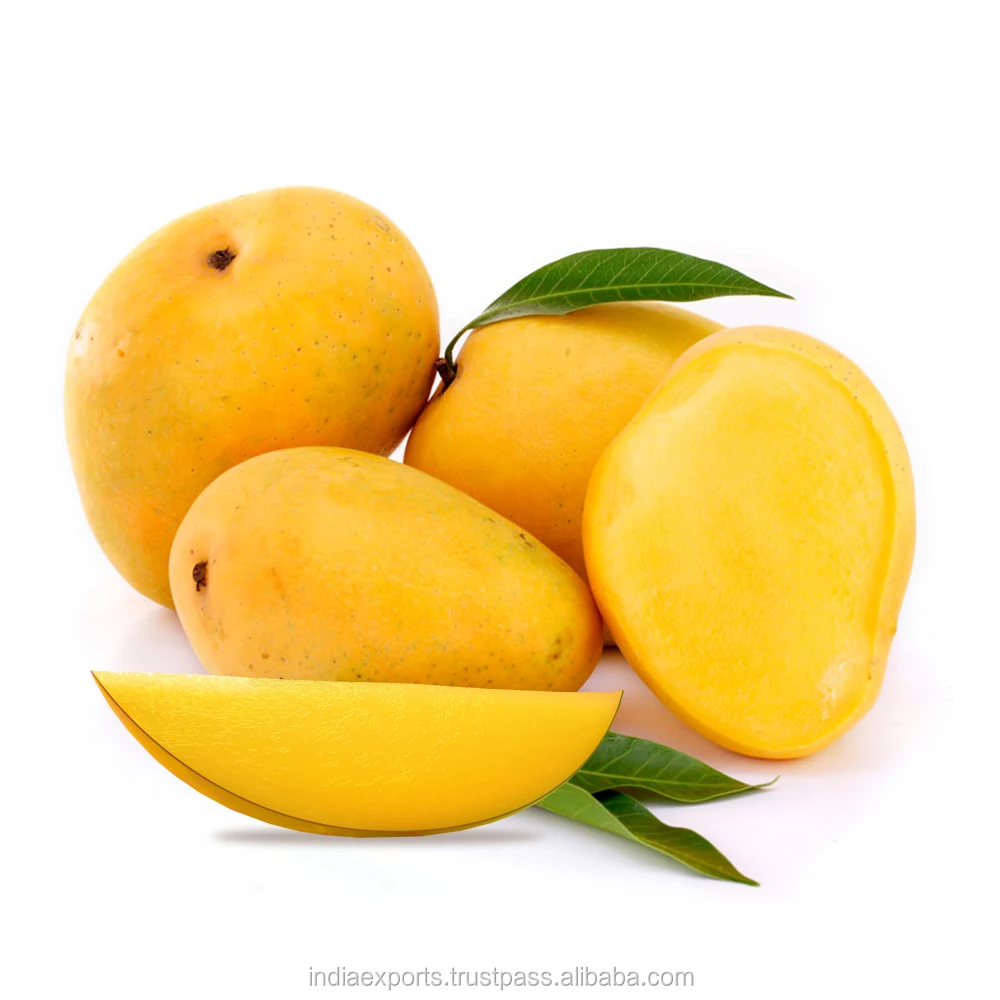 export quality indian mangoes