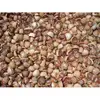 Areca Nuts/ Areca Betel Nut/Organic Dried Areca Nuts Origin VietNam