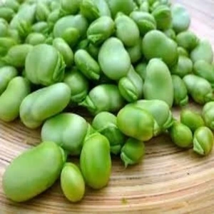 broad beans uk