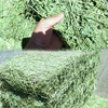 /product-detail/quality-alfafa-hay-for-animal-feeding-stuff-hay-cubes-alfalfa-hay-and-cubes-50037734861.html