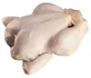 /product-detail/100-halal-whole-frozen-chicken-chicken-breast-chicken-legs-chicken-drumsticks-50043079062.html
