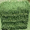 /product-detail/premium-quality-alfalfa-hay-at-very-cheap-price-62005973908.html