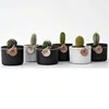 Concrete Planter Square Cement Mini Small gift cactus Succulent flower pot
