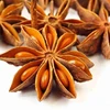 Dried star anise used for extraction of shikimic acid / Illicium verum