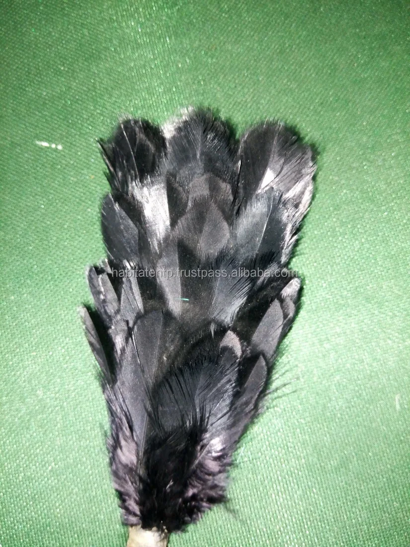 custom made full black hackle plume pakistan wholesaler factory