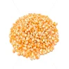 /product-detail/dry-maize-dried-yellow-corn-dried-sweet-corn-best-price-competitive-price-62001512083.html