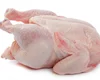 /product-detail/halal-chicken-feet-frozen-chicken-paws-brazil-chicken-wings-62008892183.html