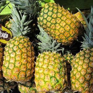 fresh pineapples