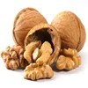 /product-detail/cheap-fresh-turkish-walnuts-for-sale-62000945959.html