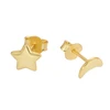 Moon and Star stud silver earrings for women's