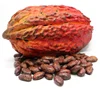 /product-detail/high-quality-natural-organic-cocoa-powder-price-50029681876.html